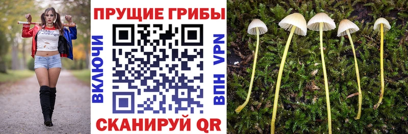 Галлюциногенные грибы мицелий  Купить закладки  Бийск 